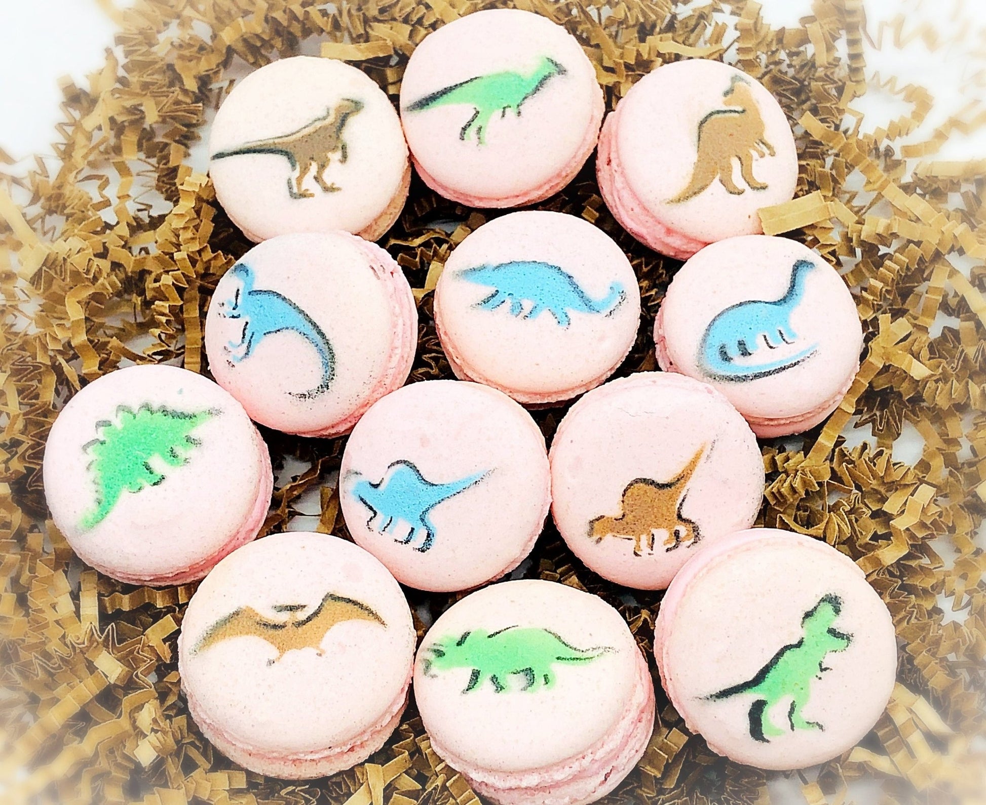 Dinosaur French Macaron Set (12 Pack) | Great addition to your dessert table with Jurassic theme party - Macaron CentraleBrown + BlackLight Pink Raspberry