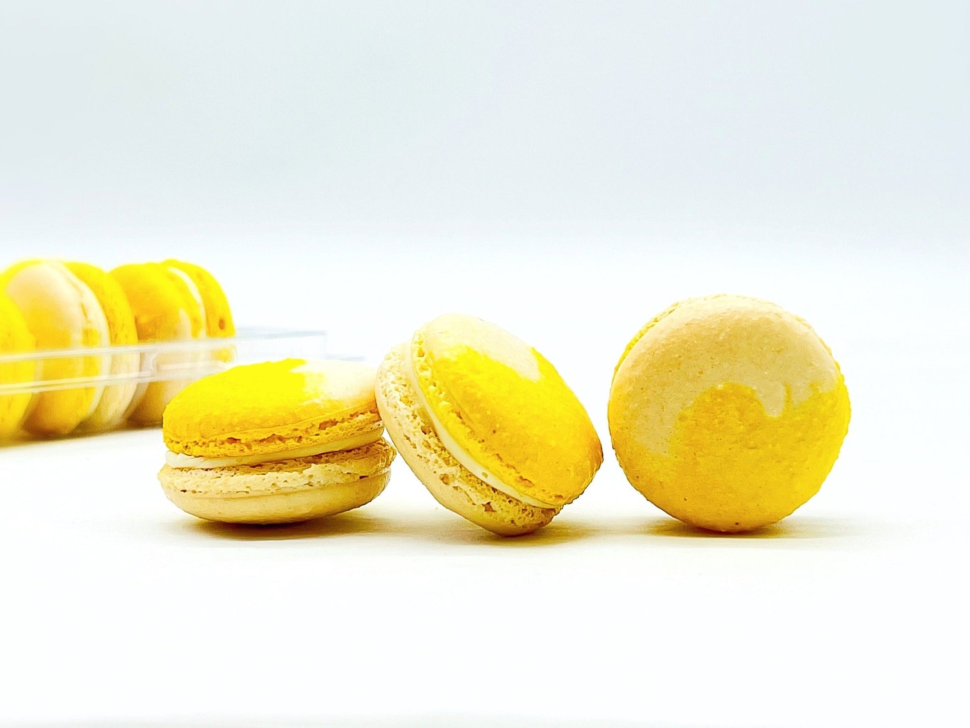 Fruity Chocolate | Lemon Coconut | Available in 6 , 12 & 24 Pack - Macaron Centrale6 Pack