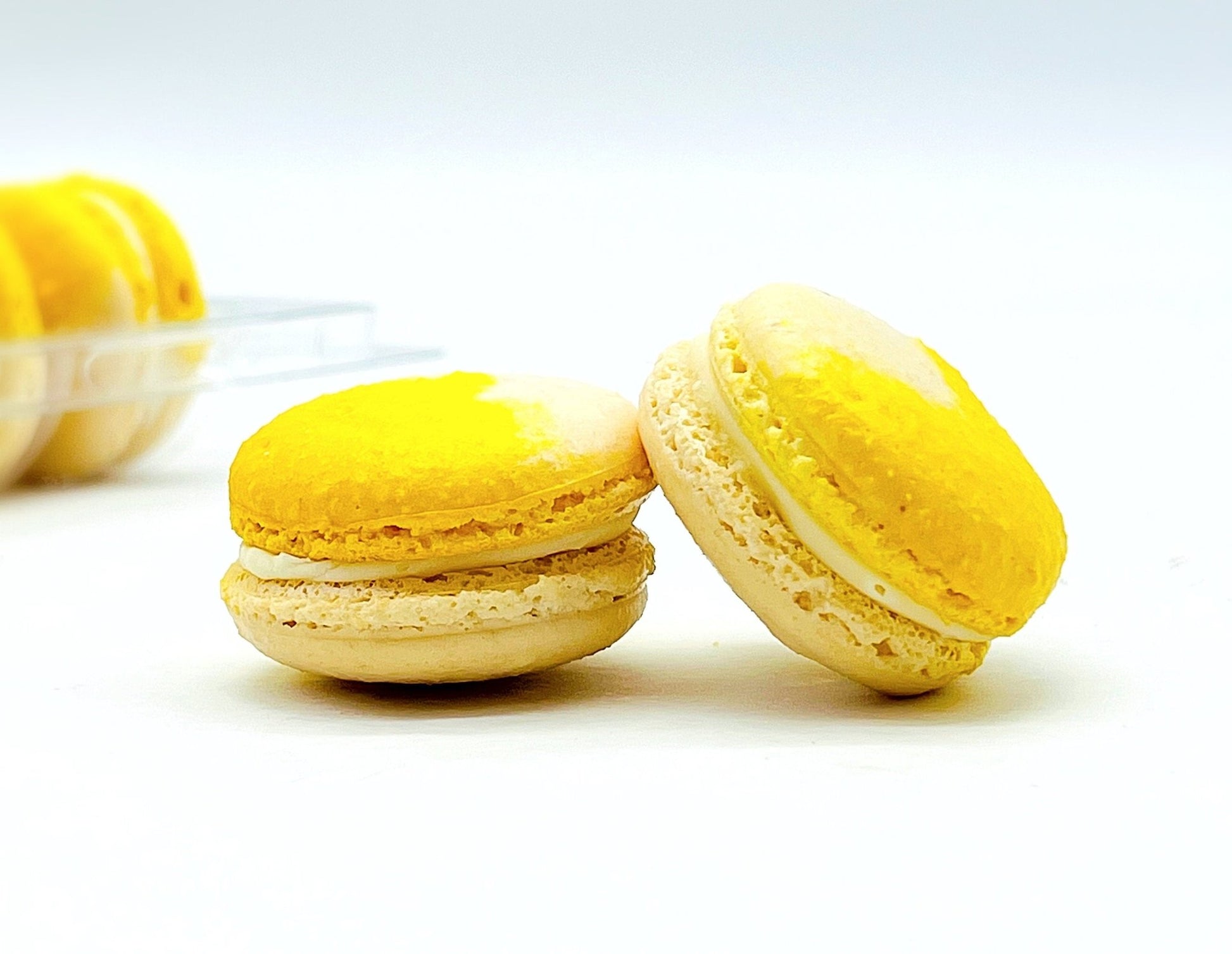 Fruity Chocolate | Lemon Coconut | Available in 6 , 12 & 24 Pack - Macaron Centrale6 Pack