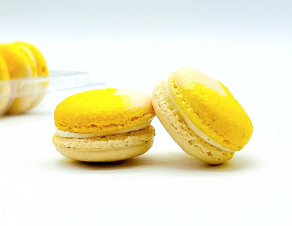Fruity Chocolate | Lemon Coconut | Available in 6 , 12 & 24 Pack - Macaron Centrale6 Pack