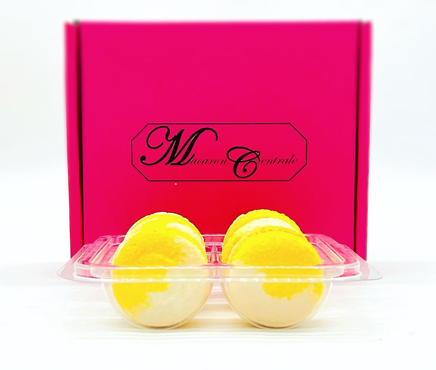 Fruity Chocolate | Lemon Coconut | Available in 6 , 12 & 24 Pack - Macaron Centrale6 Pack