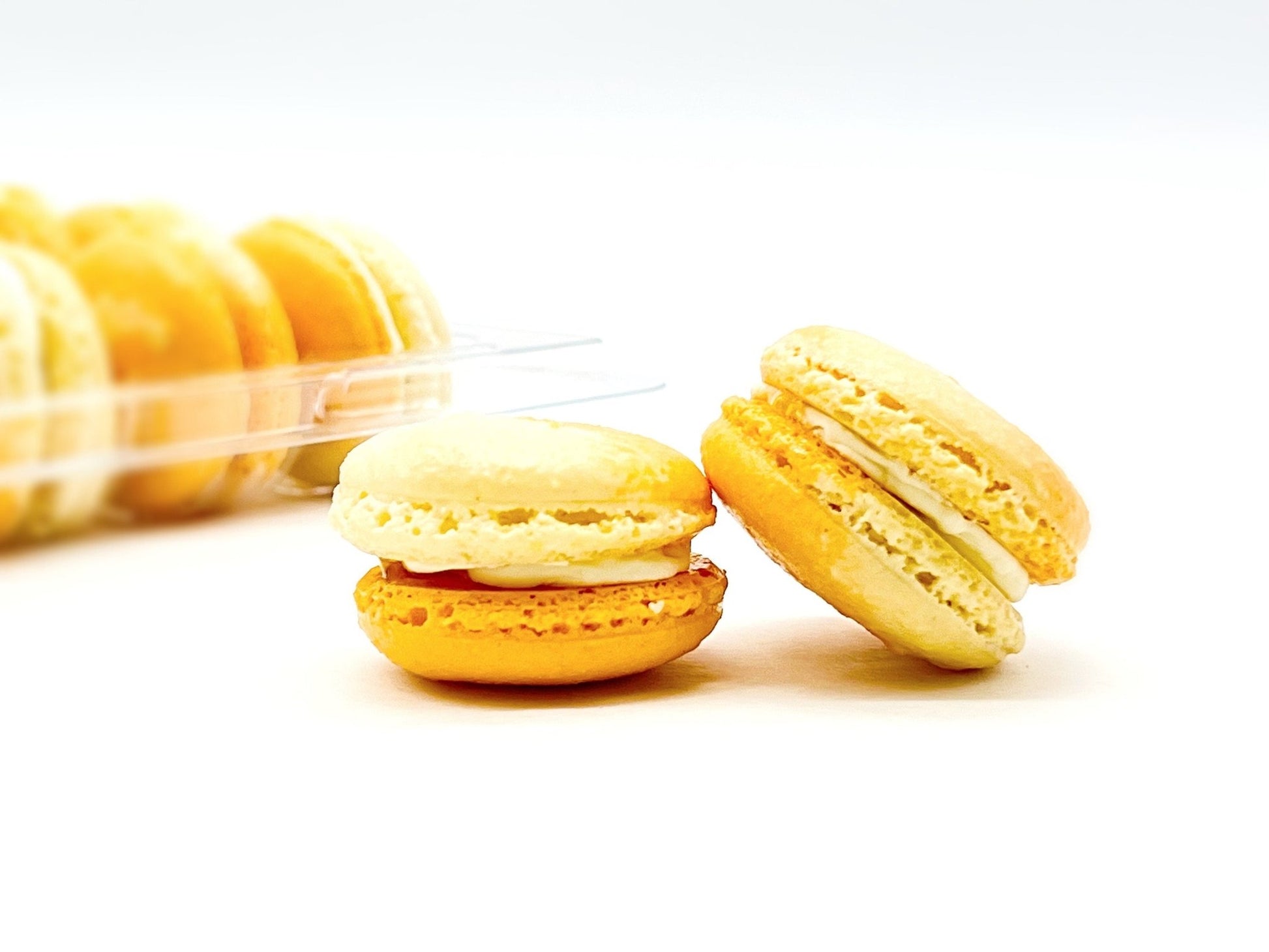 Fruity Chocolate | White Chocolate Apricot | Available in 6 , 12 & 24 Pack - Macaron Centrale6 Pack