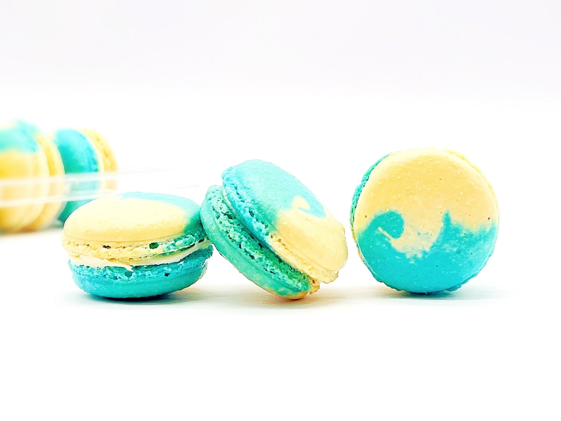 Fruity Chocolate | White Chocolate Prune | Available in 6 , 12 & 24 Pack - Macaron Centrale6 Pack