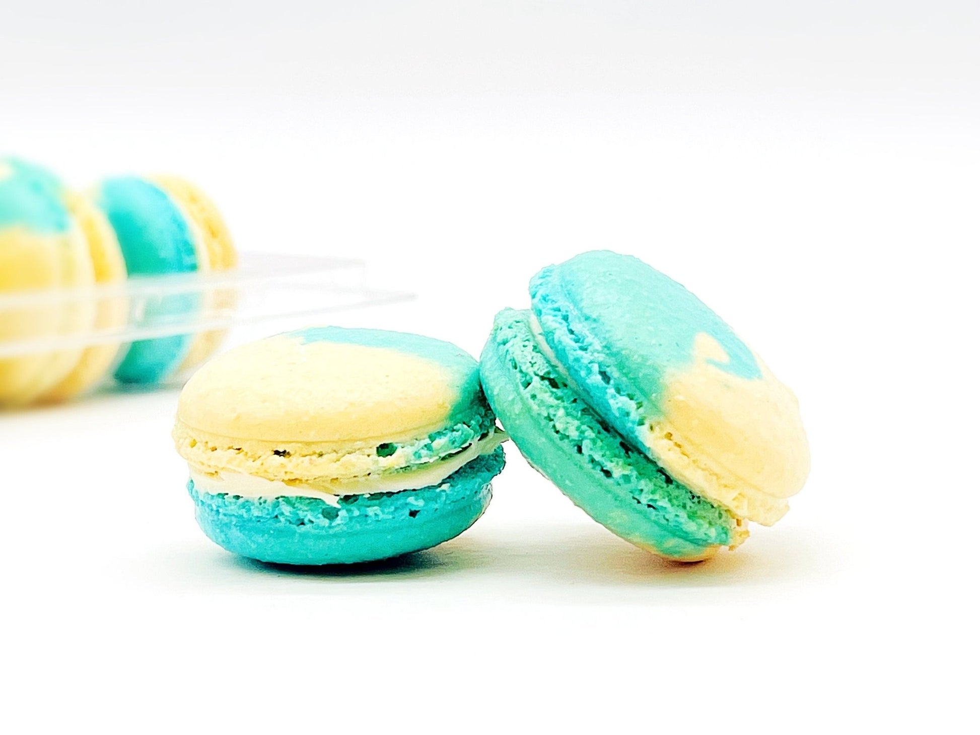 Fruity Chocolate | White Chocolate Prune | Available in 6 , 12 & 24 Pack - Macaron Centrale6 Pack