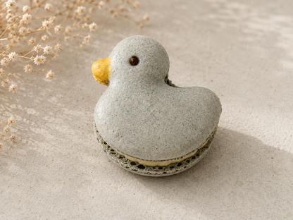 Garden Friends Ducklings French Macarons – Grey Duck Edition.