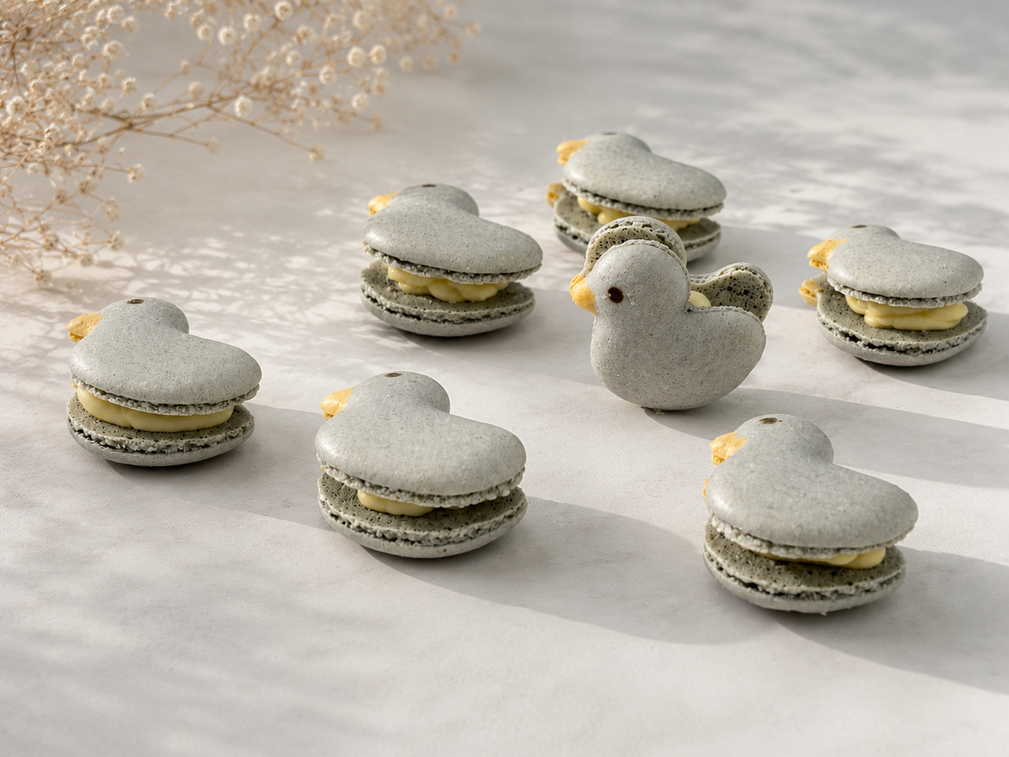 Garden Friends Ducklings French Macarons – Grey Duck Edition.