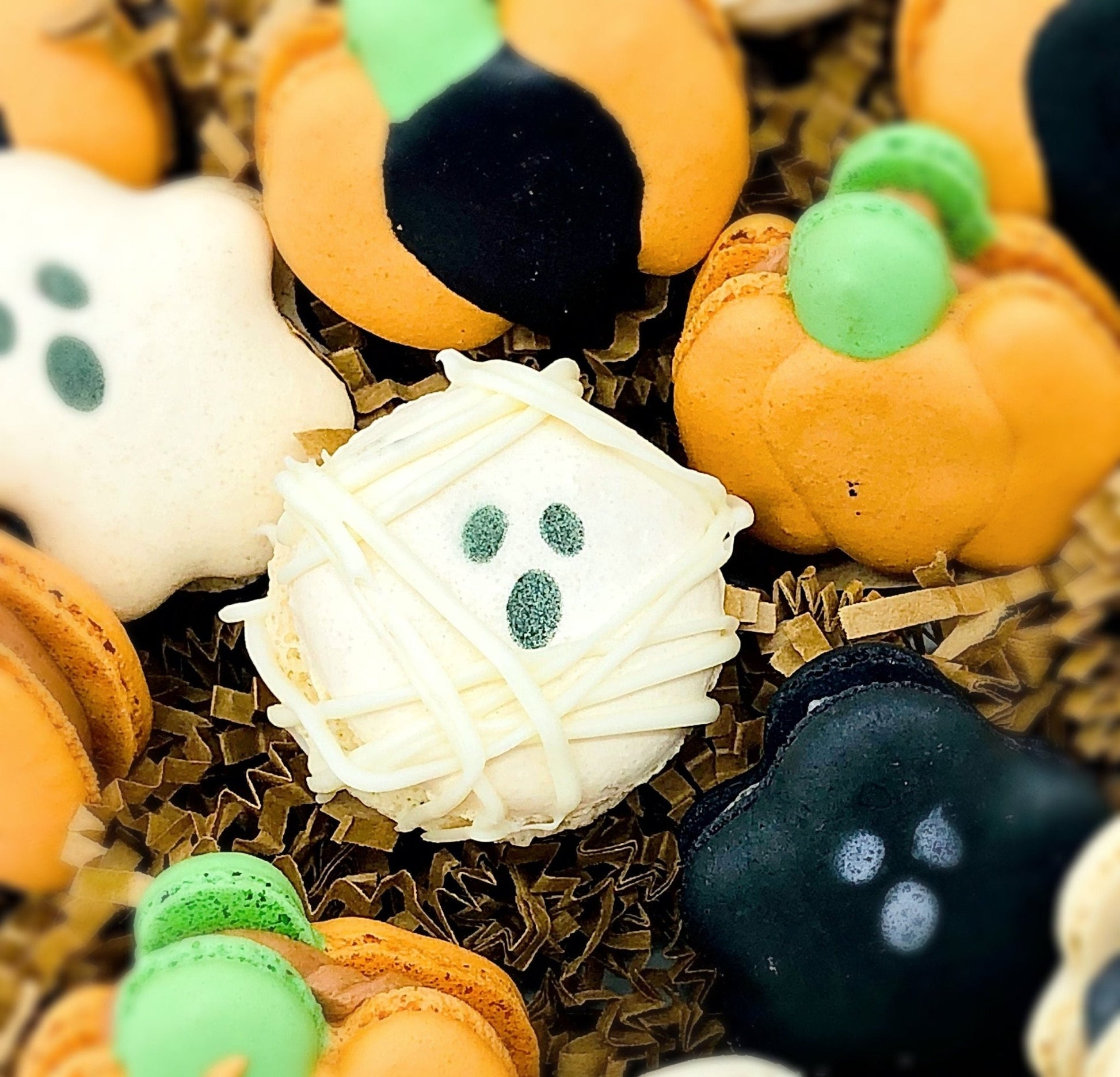 Halloween French Macaron 24 Pack Set - Macaron Centrale