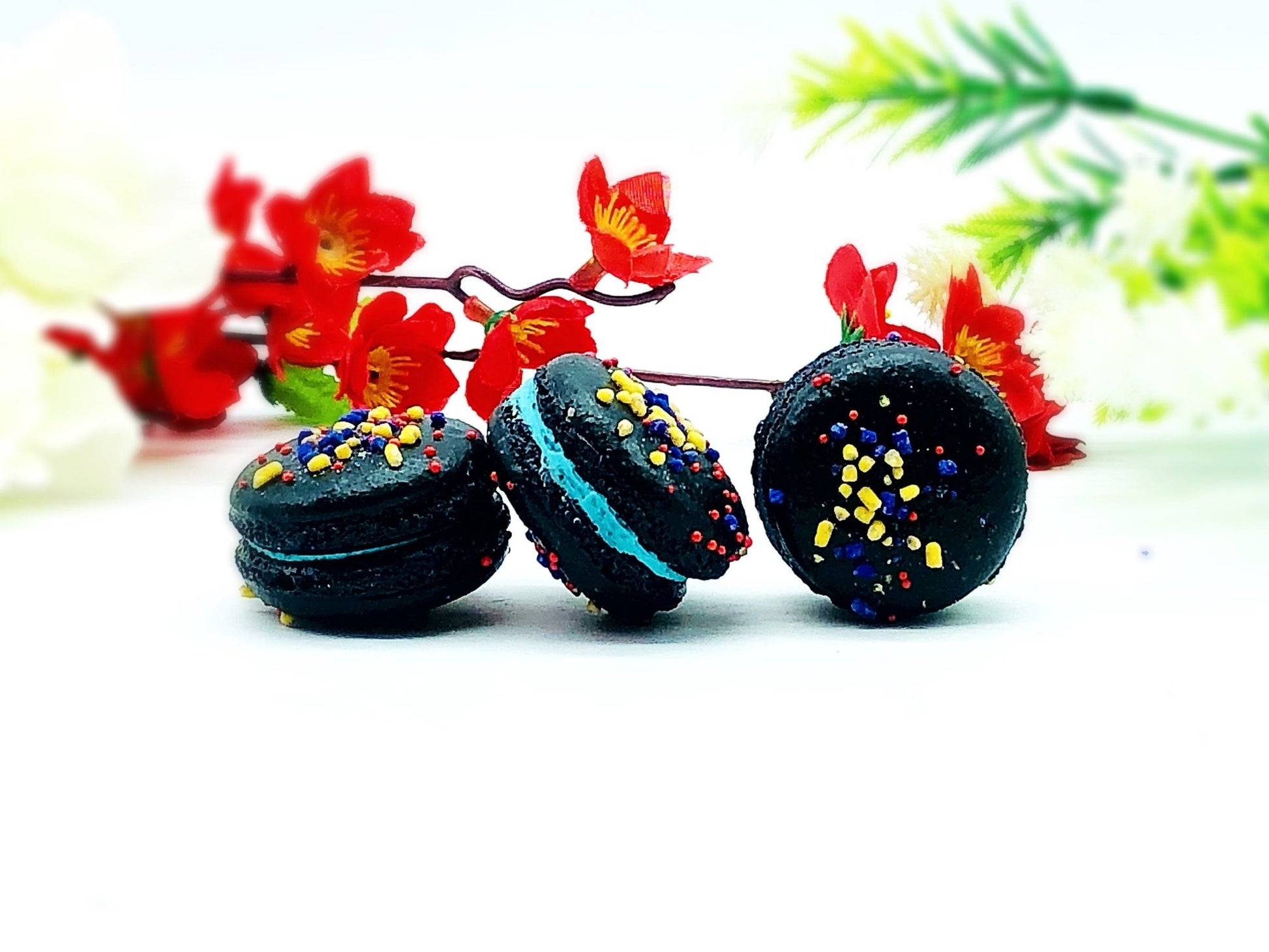 Humming Bird Macarons| Perfect for your next holiday feast. - Macaron Centrale6 pack