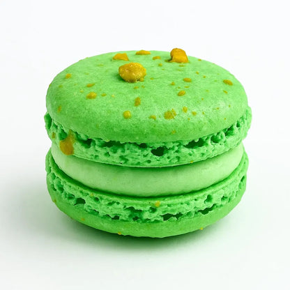 Artisan Nut Box | Macaron Assortment