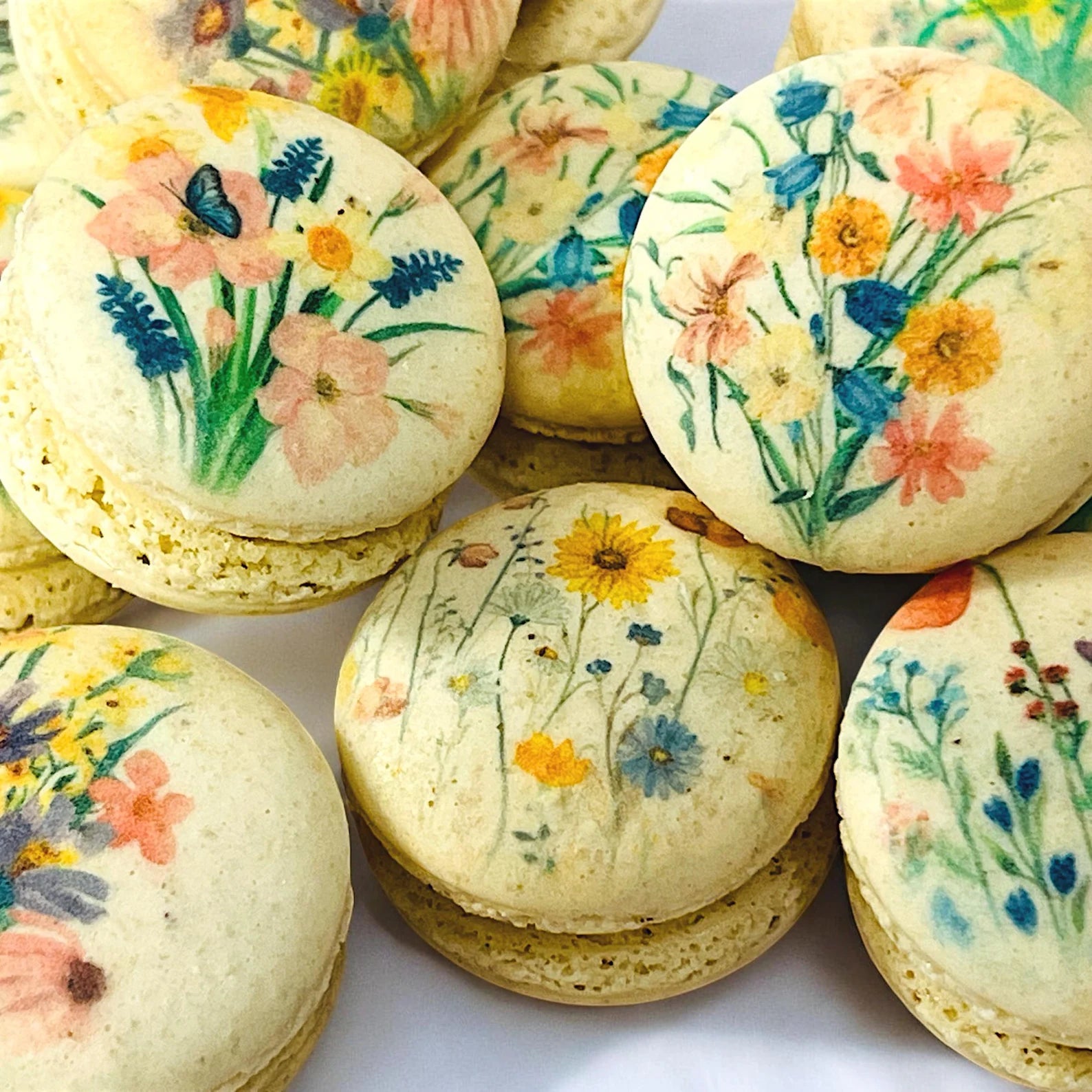 Pastel Wildflower French Macaron Set - Macaron Centrale6 Pack