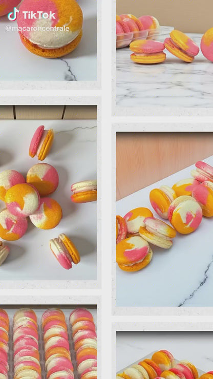 6 Pack Berry Mango Wave French Macarons