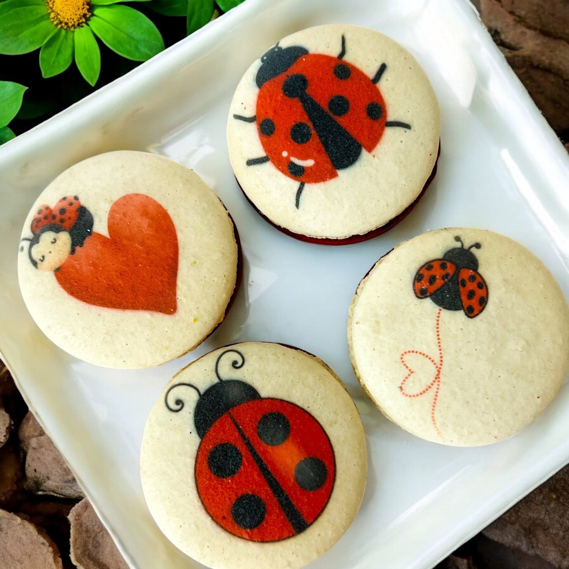 Spring Ladybug Vegan Macaron Set - Macaron Centrale4 Pack
