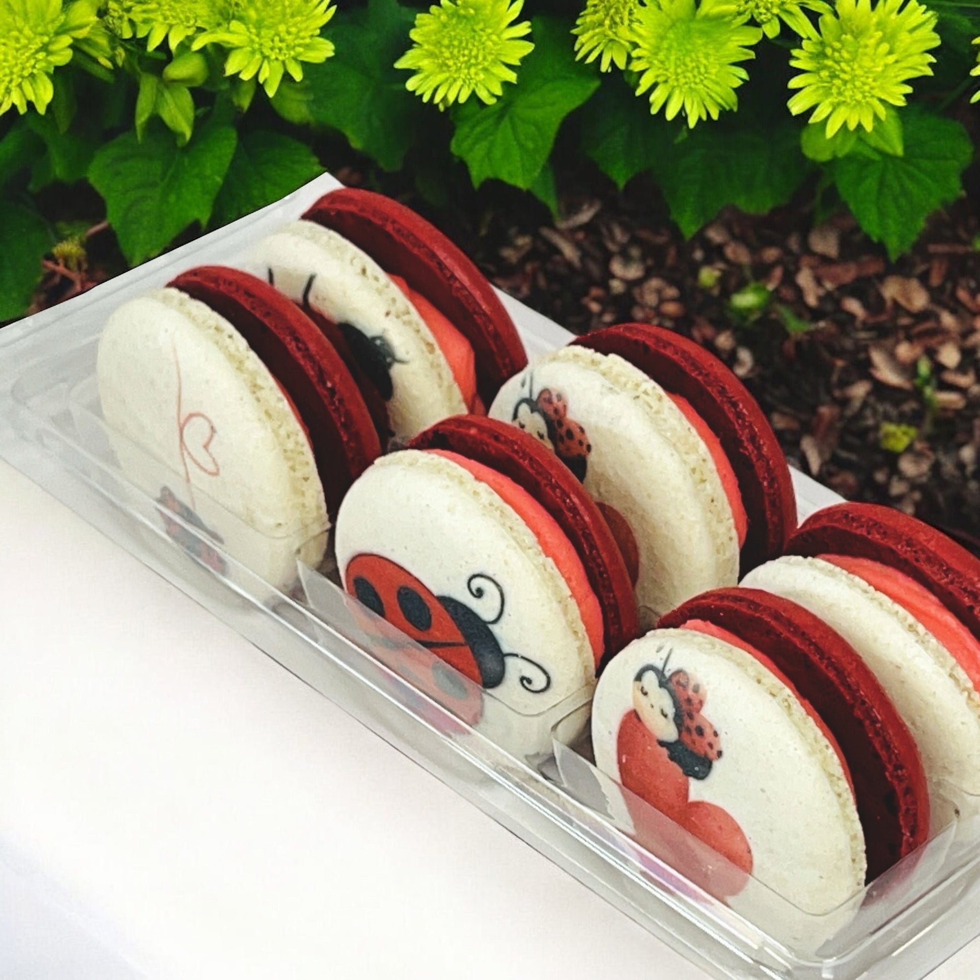 Spring Ladybug Vegan Macaron Set - Macaron Centrale4 Pack