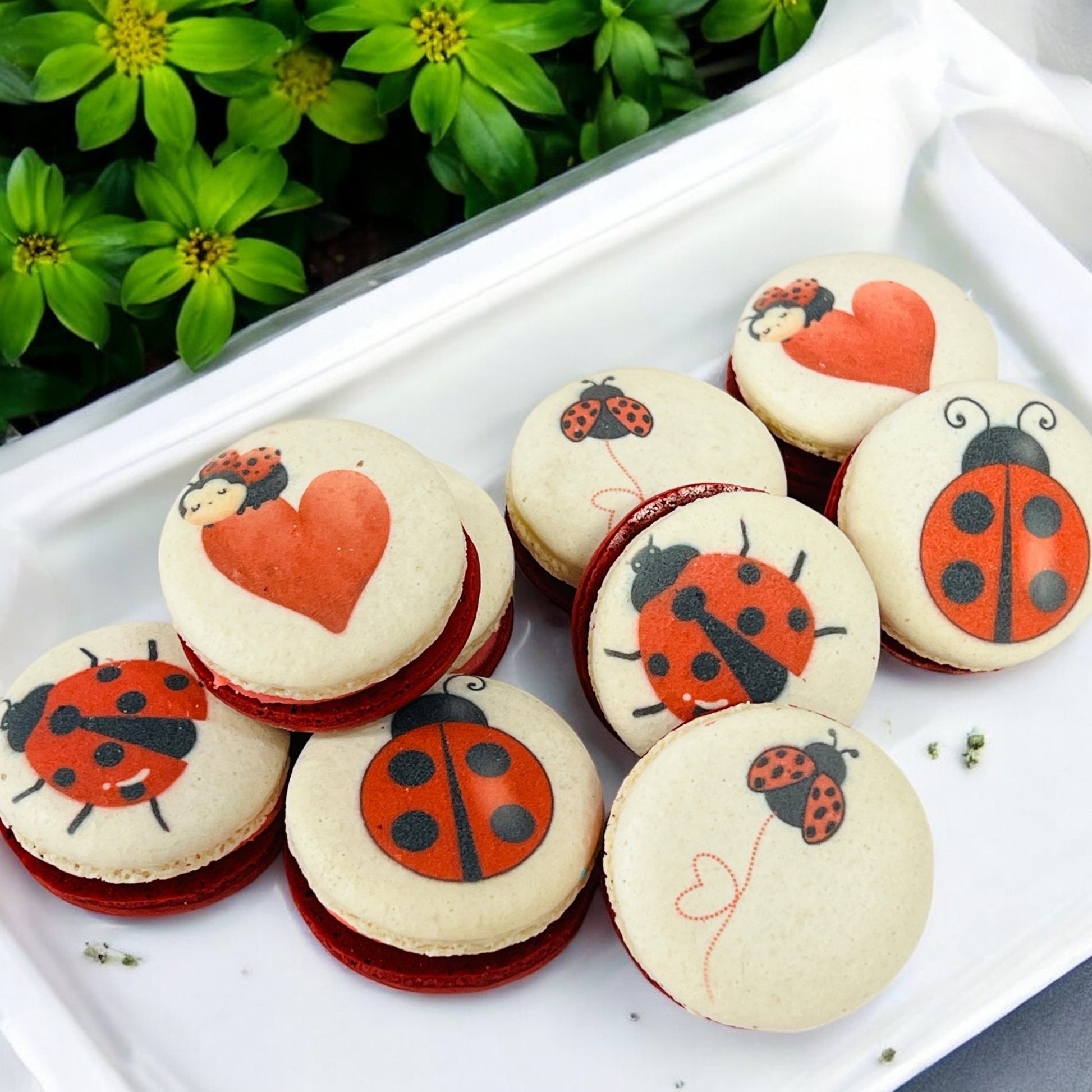 Spring Ladybug Vegan Macaron Set - Macaron Centrale4 Pack