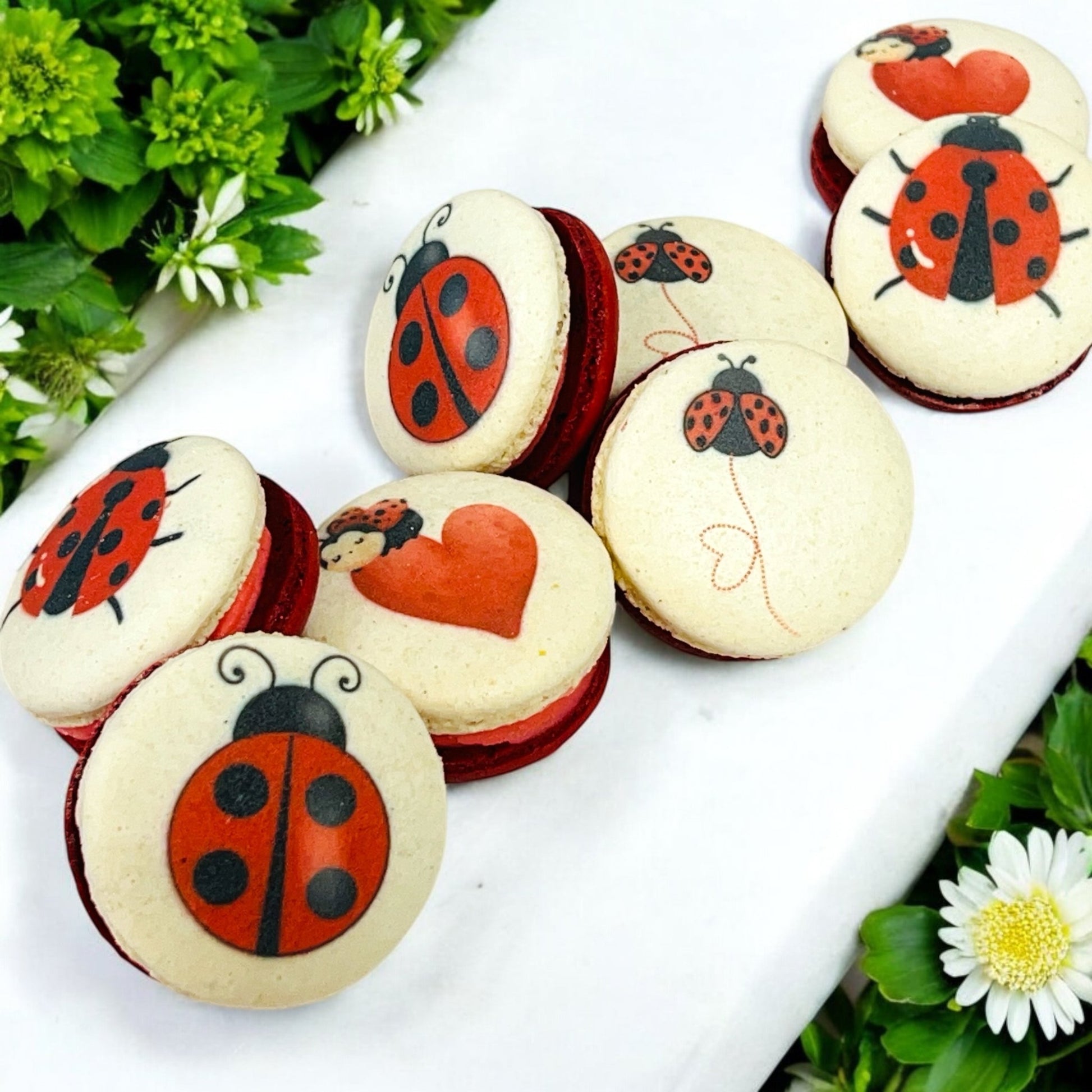 Spring Ladybug Vegan Macaron Set - Macaron Centrale4 Pack