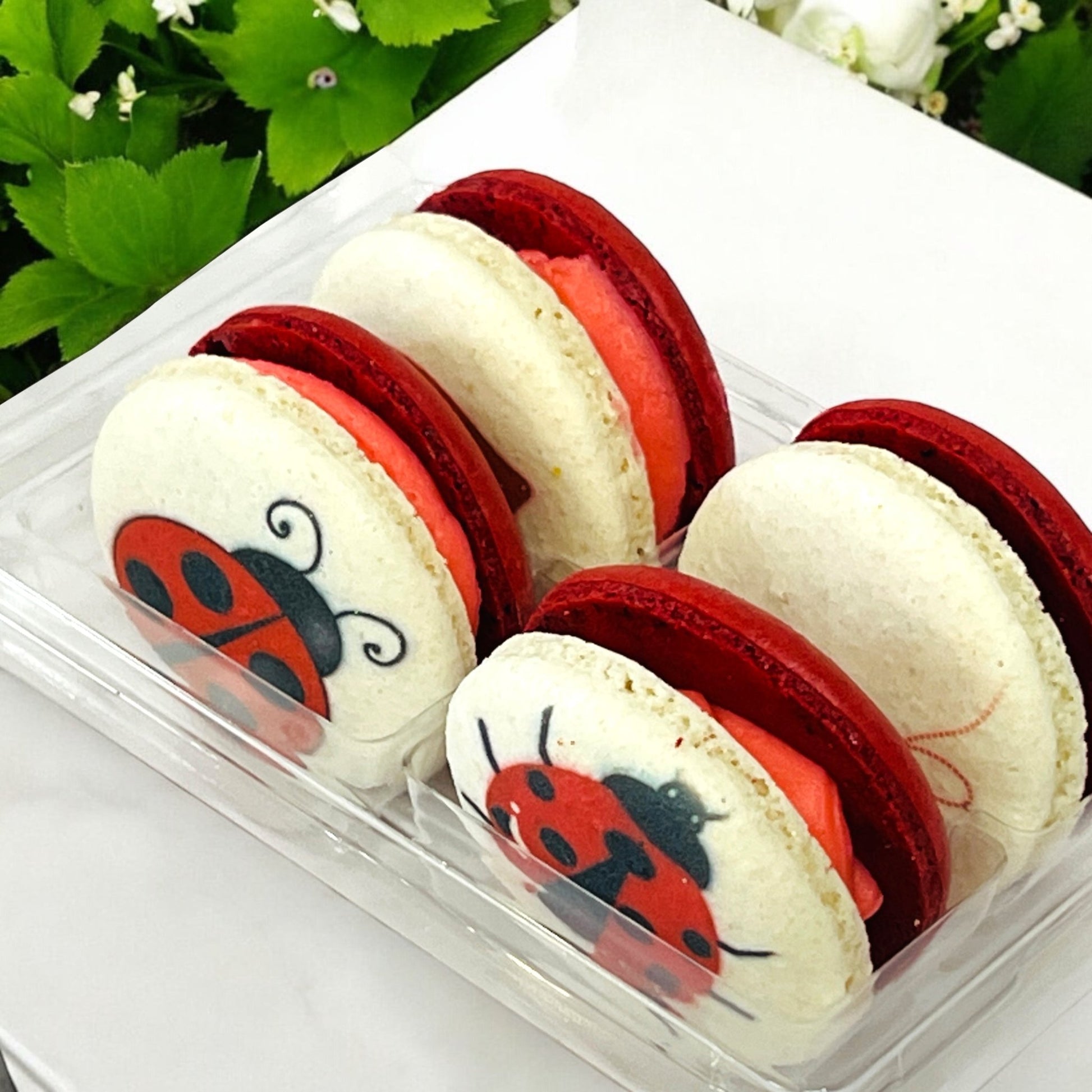 Spring Ladybug Vegan Macaron Set - Macaron Centrale4 Pack