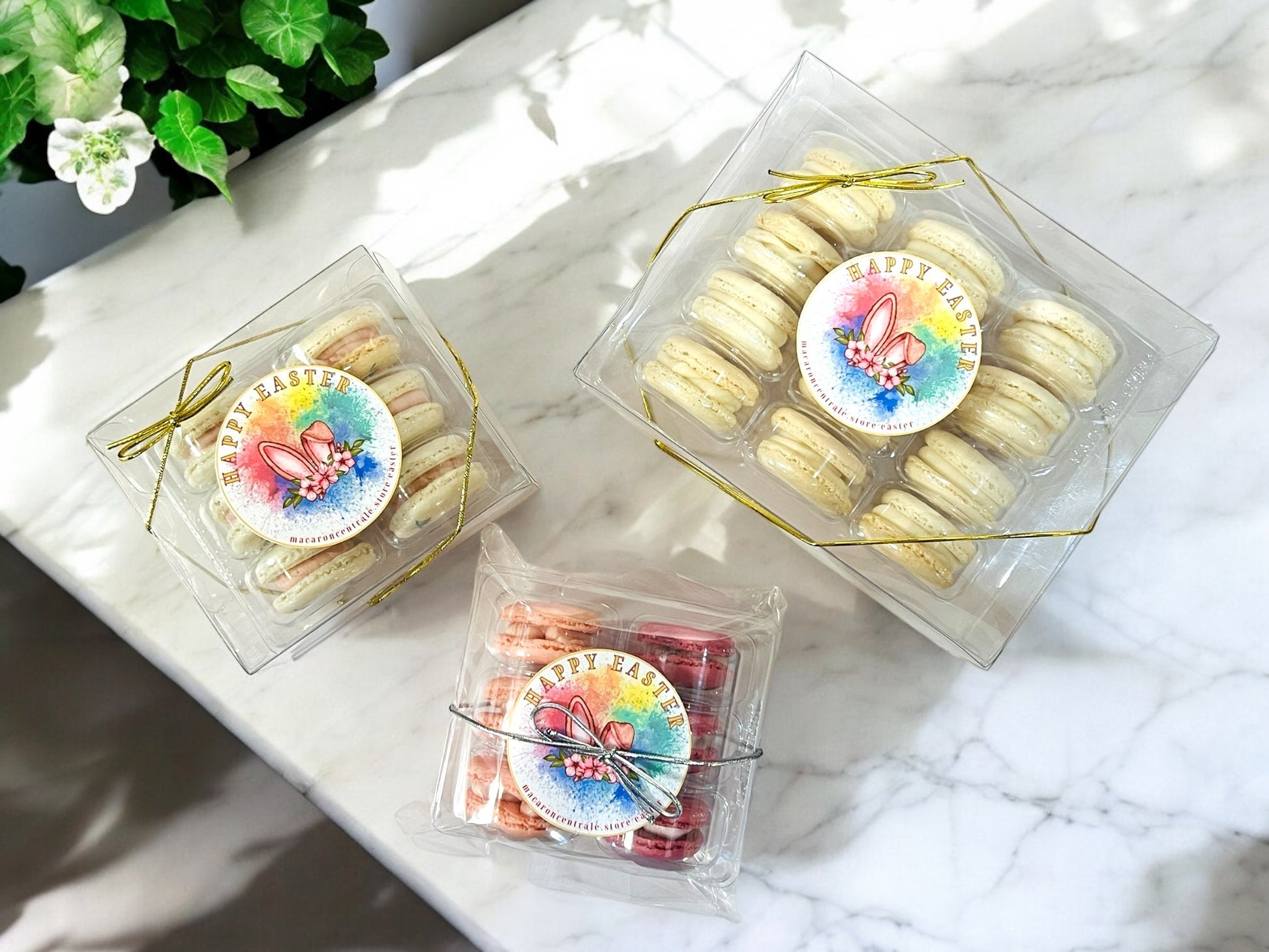 Springtime Macaron Set – Beautiful & Delicious - Macaron CentraleEasterClear Gift Box6 Pack