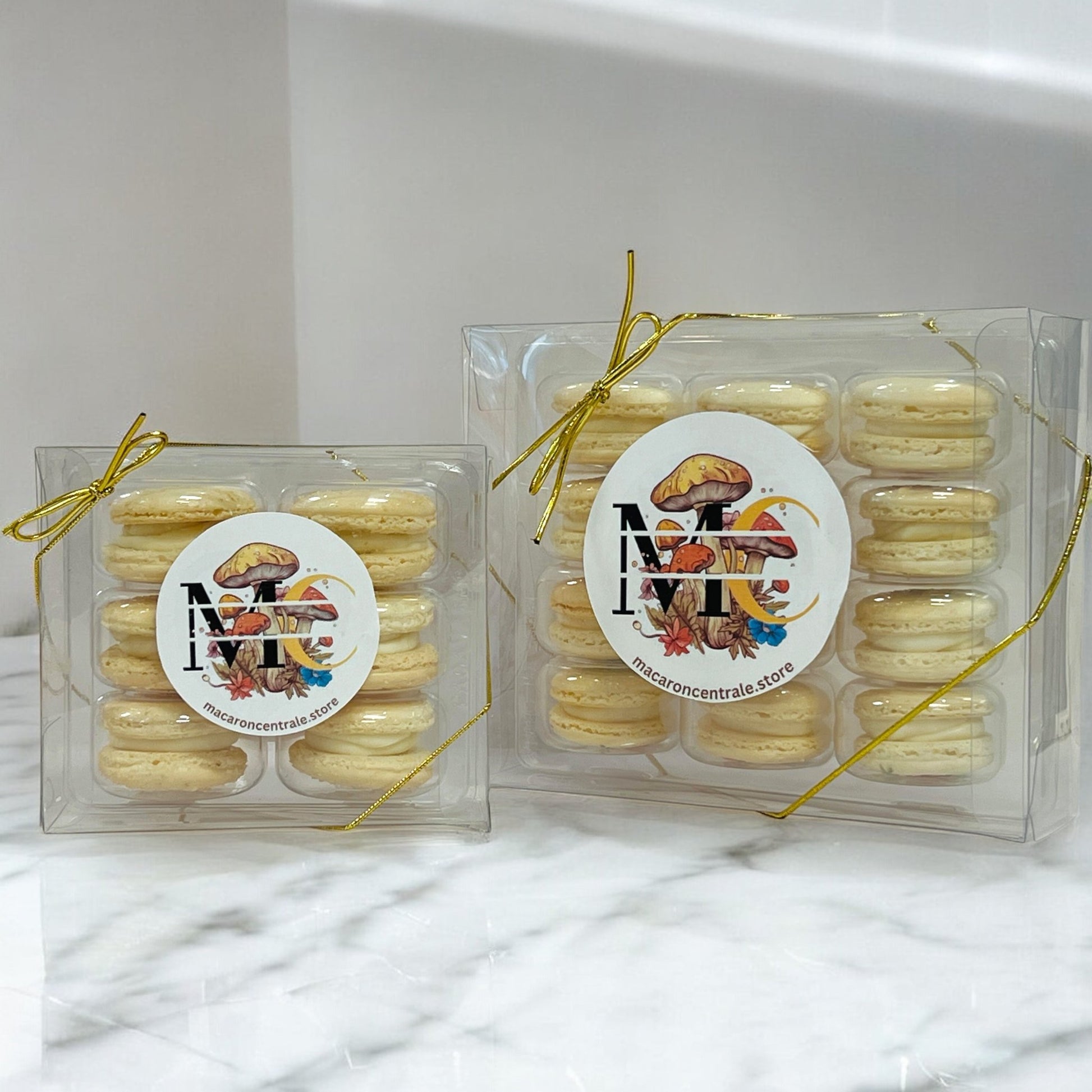 Wild Mushroom Macaron Gift Box - Macaron Centrale6 Pack