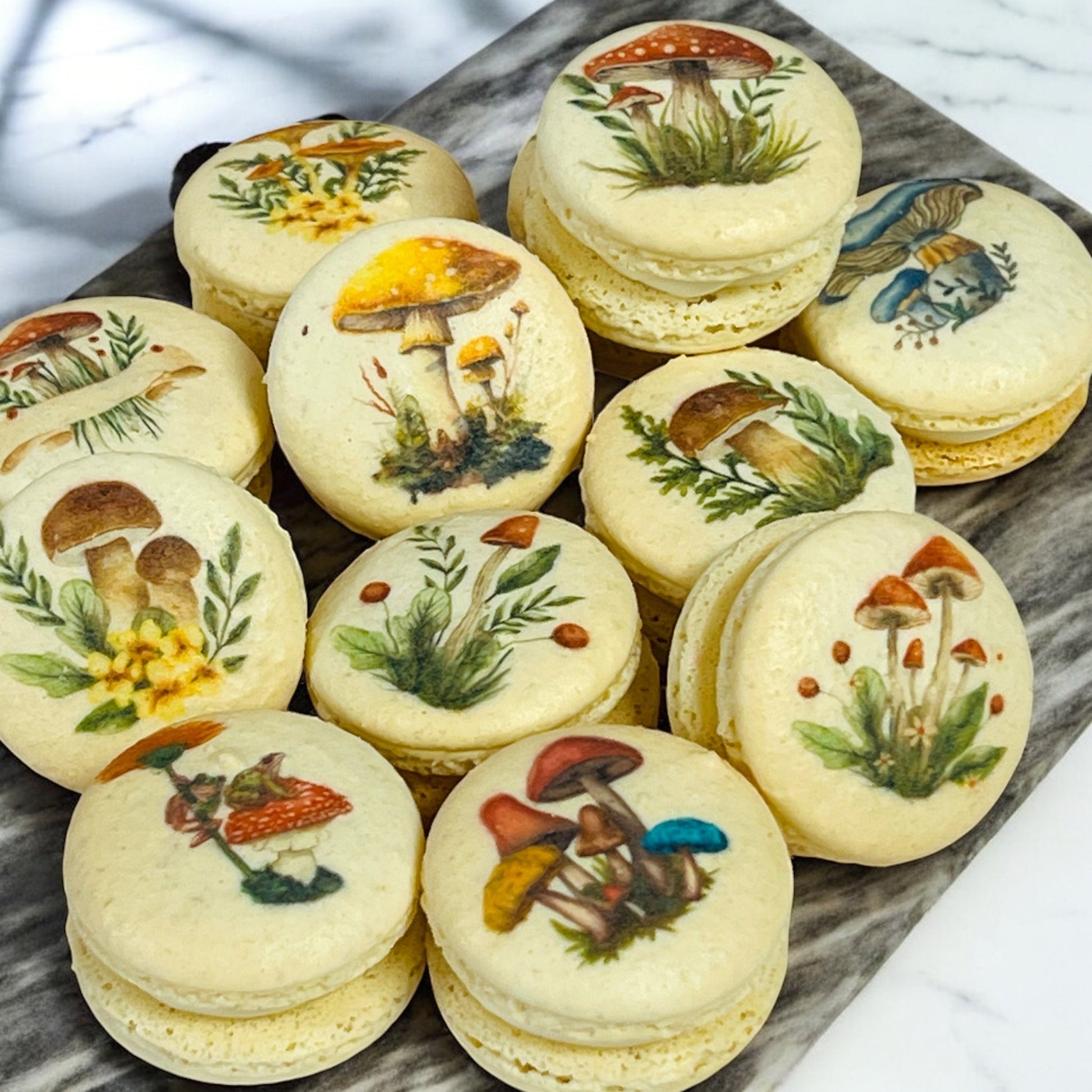 Wild Mushroom Macaron Gift Box - Macaron Centrale6 Pack