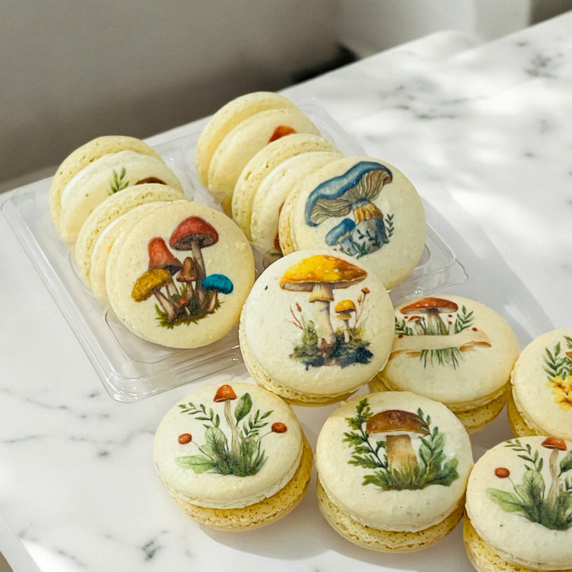 Wild Mushroom Macaron Gift Box - Macaron Centrale6 Pack