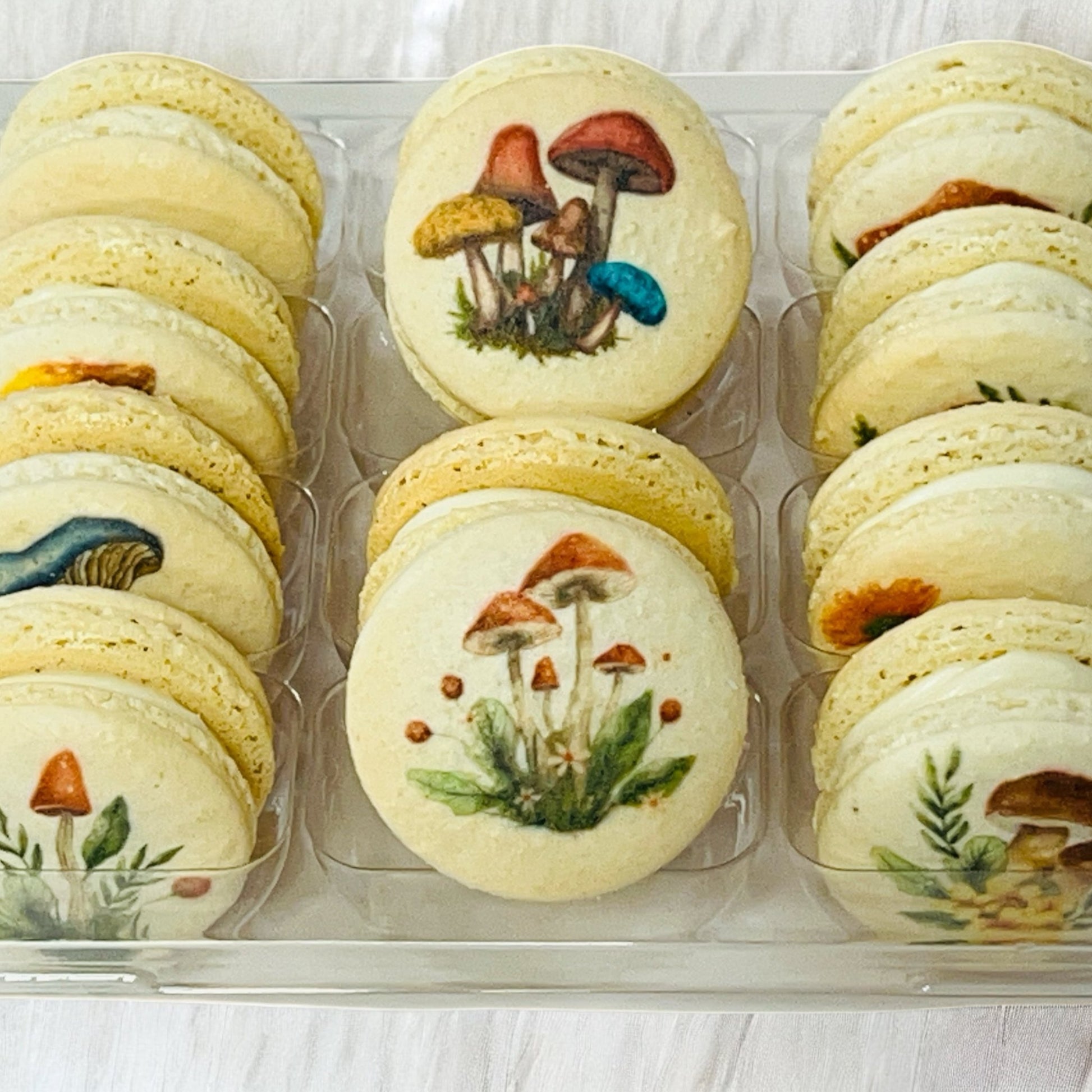 Wild Mushroom Macaron Gift Box - Macaron Centrale6 Pack