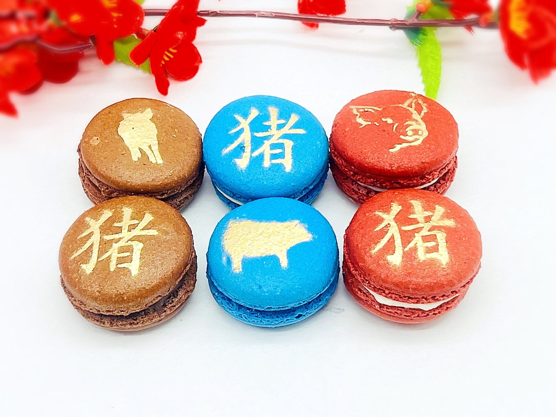 Year of The Pig | Assorted French Macaron decorated with Gold Dust - Macaron CentraleVariety6 Pack
